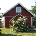 ferienhaus_rose.jpg