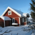 neuschnee_2010_3.jpg