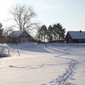 winterstimmung_2010.jpg