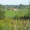 Ausblick