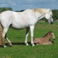 Bild 016