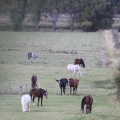 Bild 044